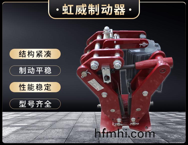 YPZ2-IV-V-VI型電力液壓盤式製動器