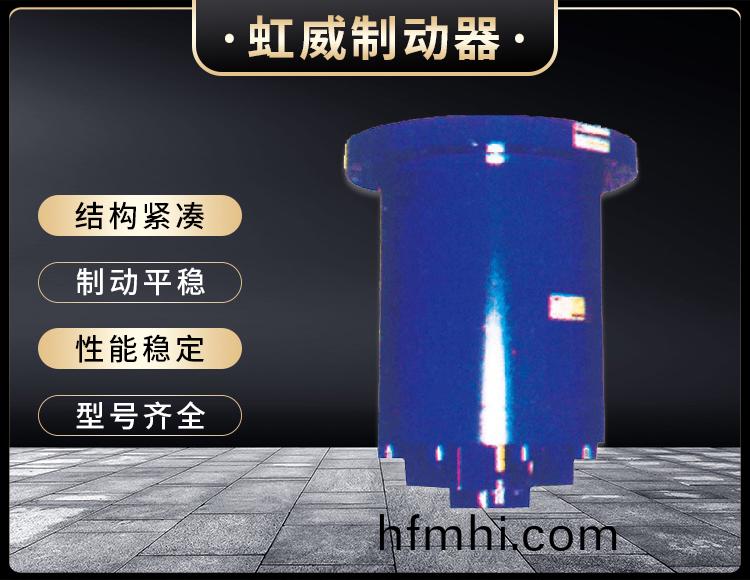 YDGZ(直動式)液壓頂軌製動器